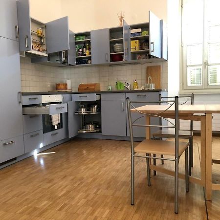 Bellinzona Piazza Collegiata Apartment Bagian luar foto